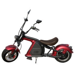 Scooter Eléctrica E-Custom...